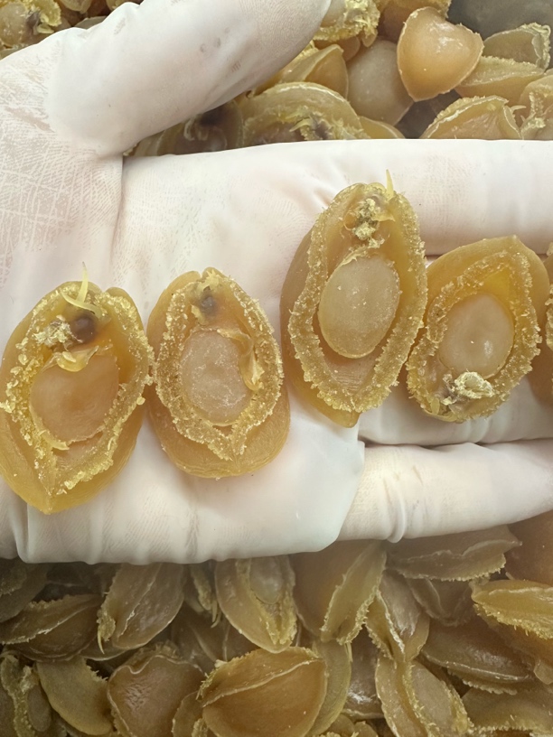 精选黄金A级鲍鱼干100头，炖汤，焖汁，焖肉