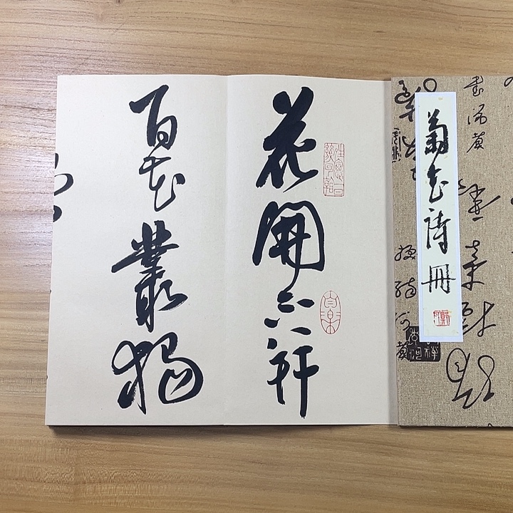 用***6书法中书协老师郑和春
