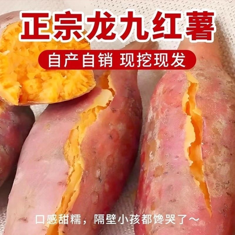 11【到手带箱5斤】龙九沙地红薯蜜薯香甜【物流断裂不影响食用】