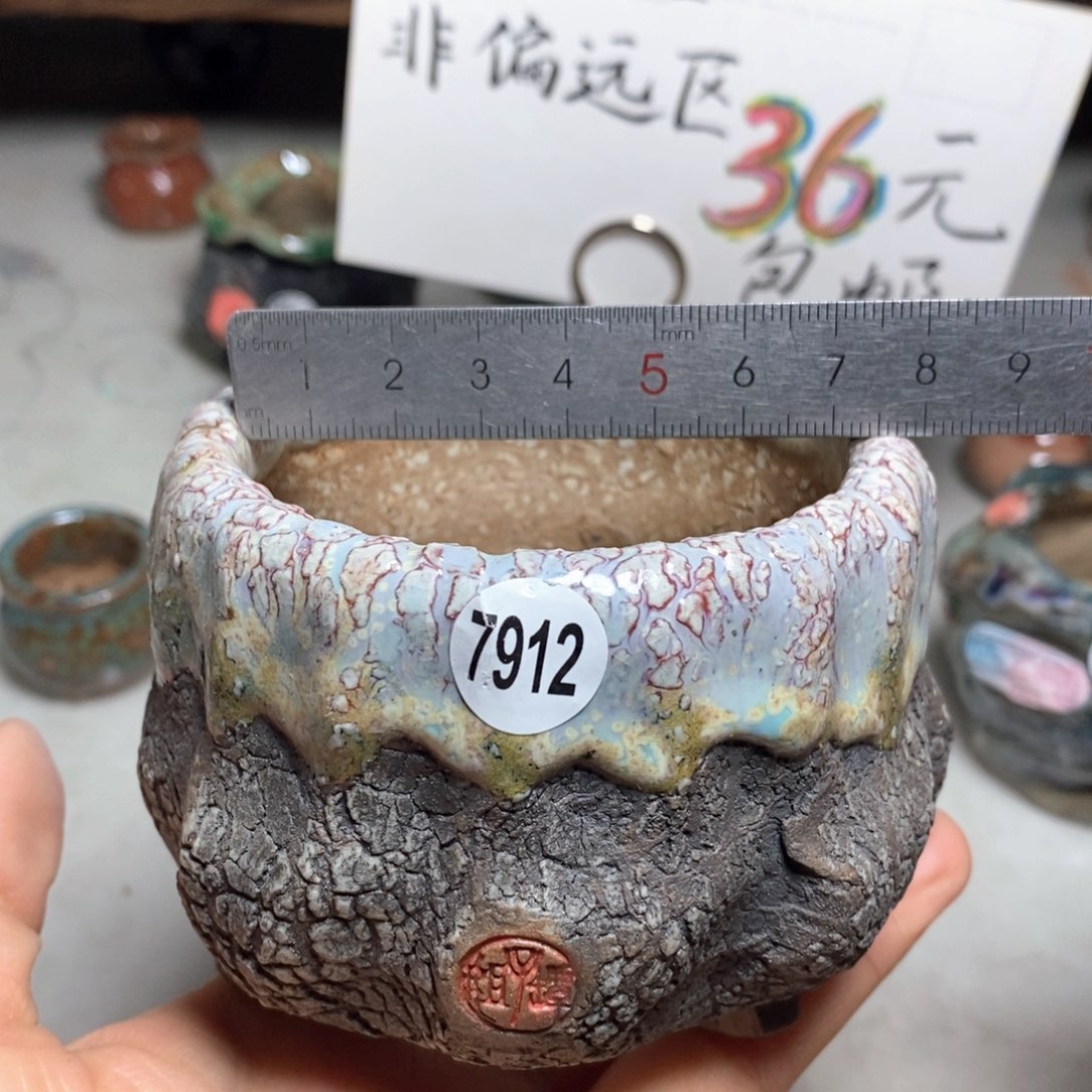 花盆双12特价活动不退不换原价32