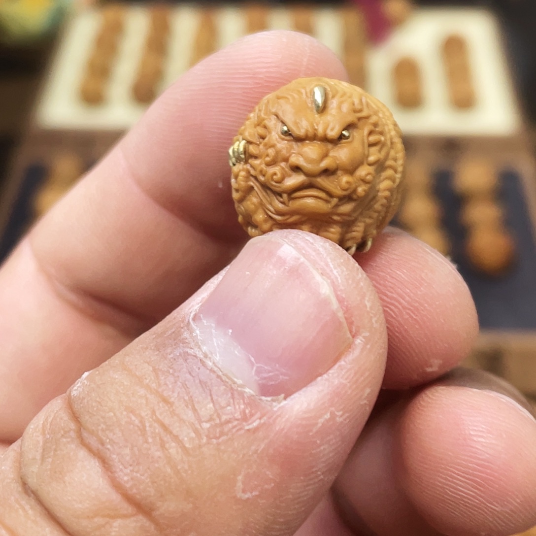 单颗貔犰猴头全品