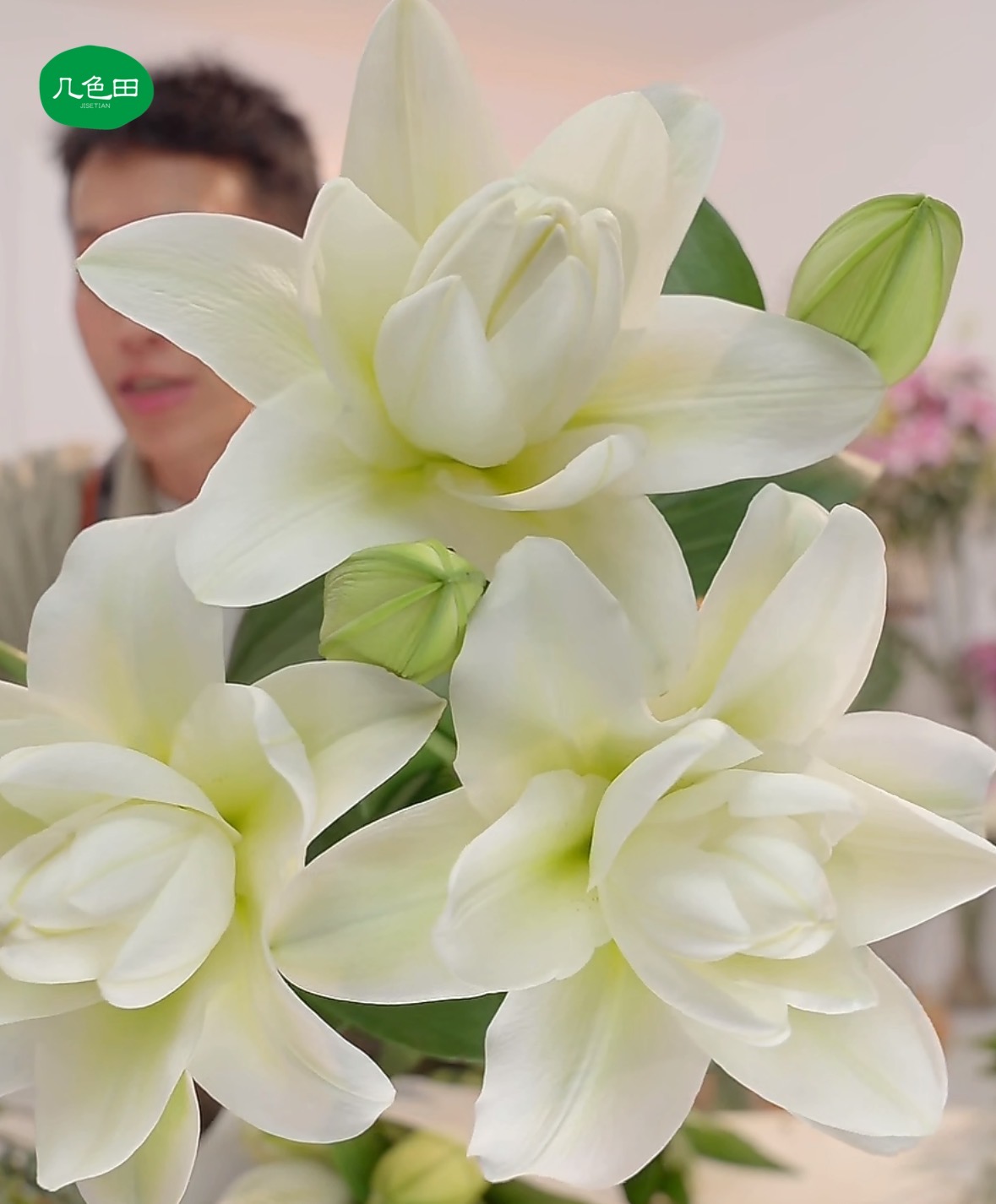 多头暴风雪----重瓣百合（3枝）云南直发鲜花