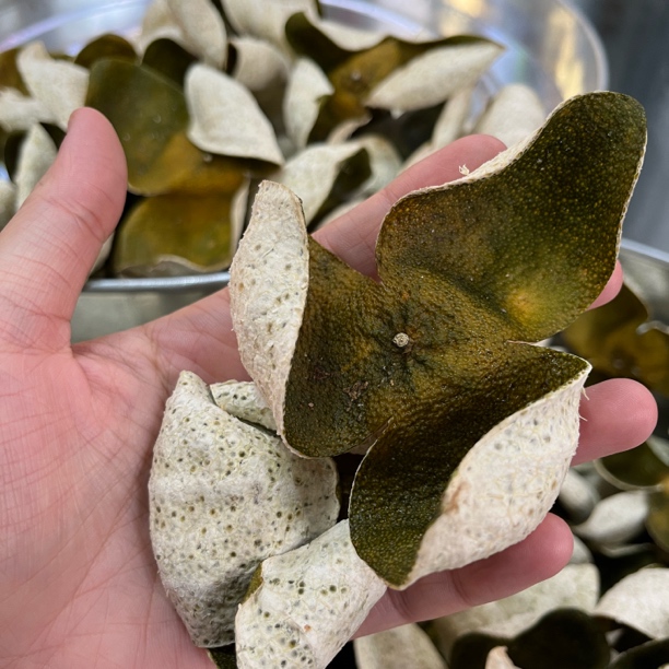 2025年正宗新会一线核心产区梅江圈枝老树大青皮天然生晒