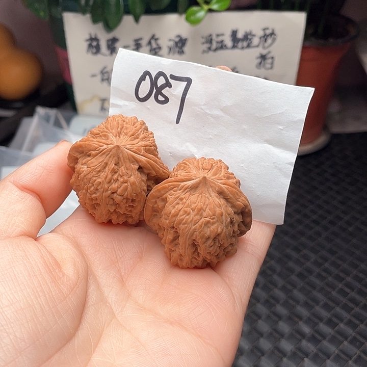 38尺寸白茬无修凹底