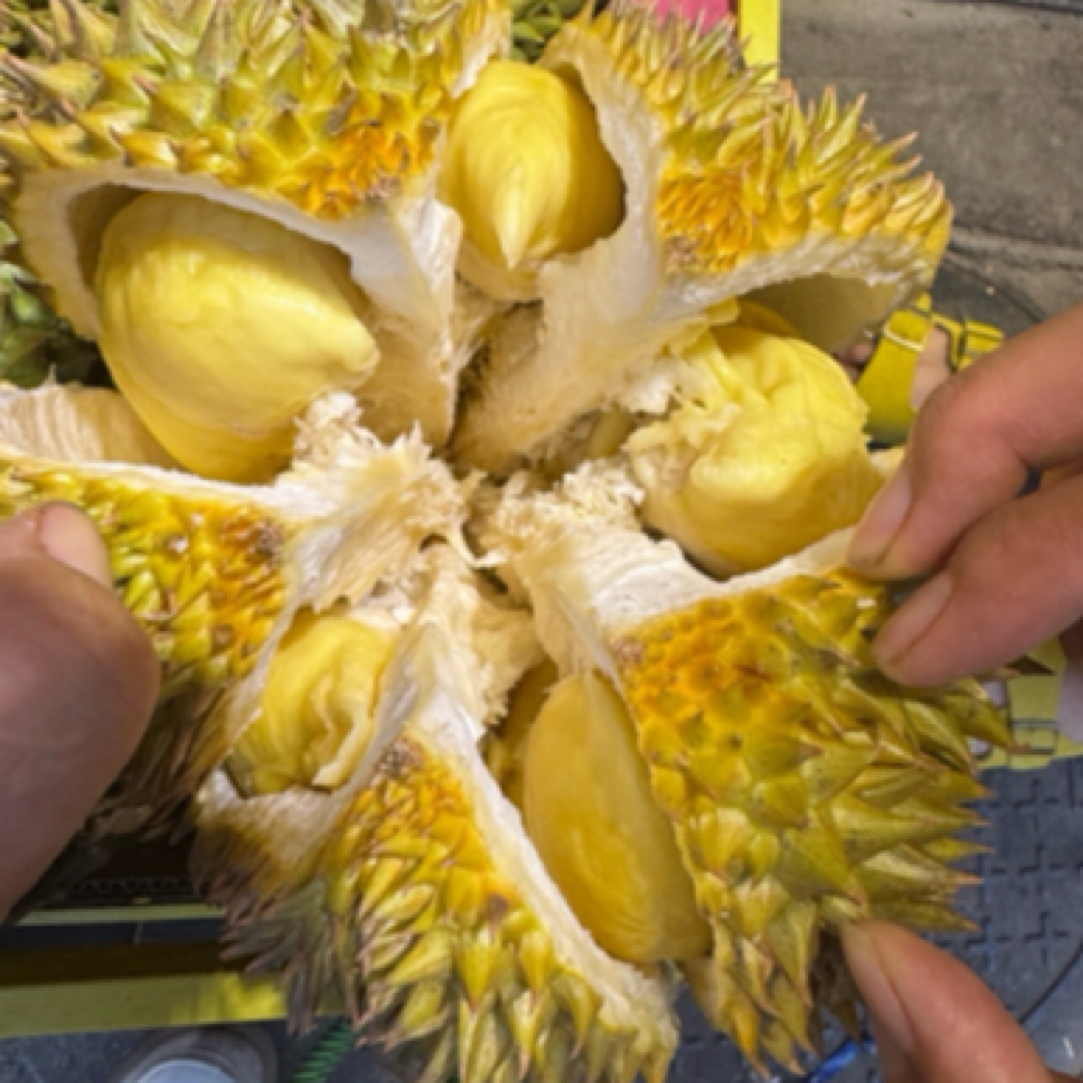 3号车金枕榴莲鲜榴莲泰国榴莲29.8一公斤核小榴莲同城配金枕