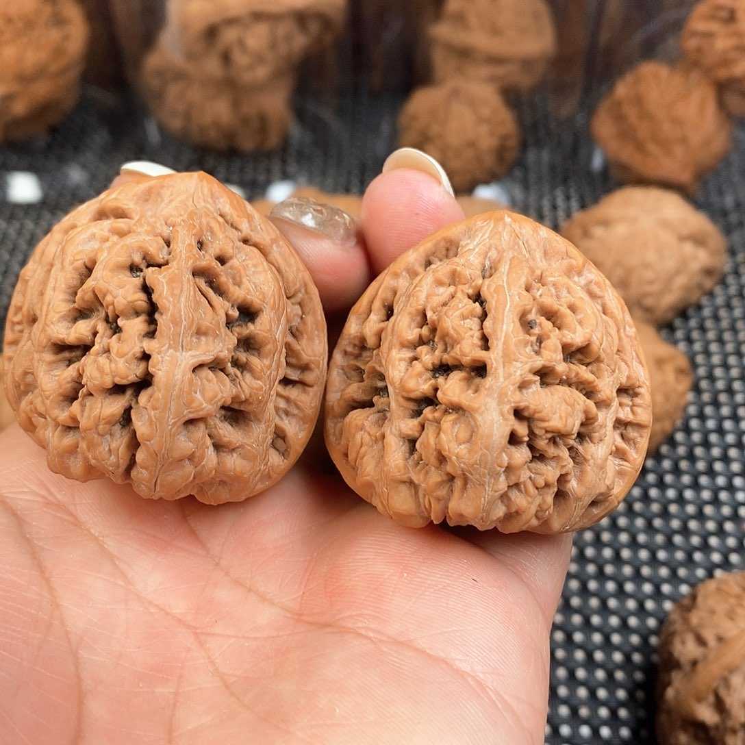 文玩核桃把件41尺大粗筋天然红皮