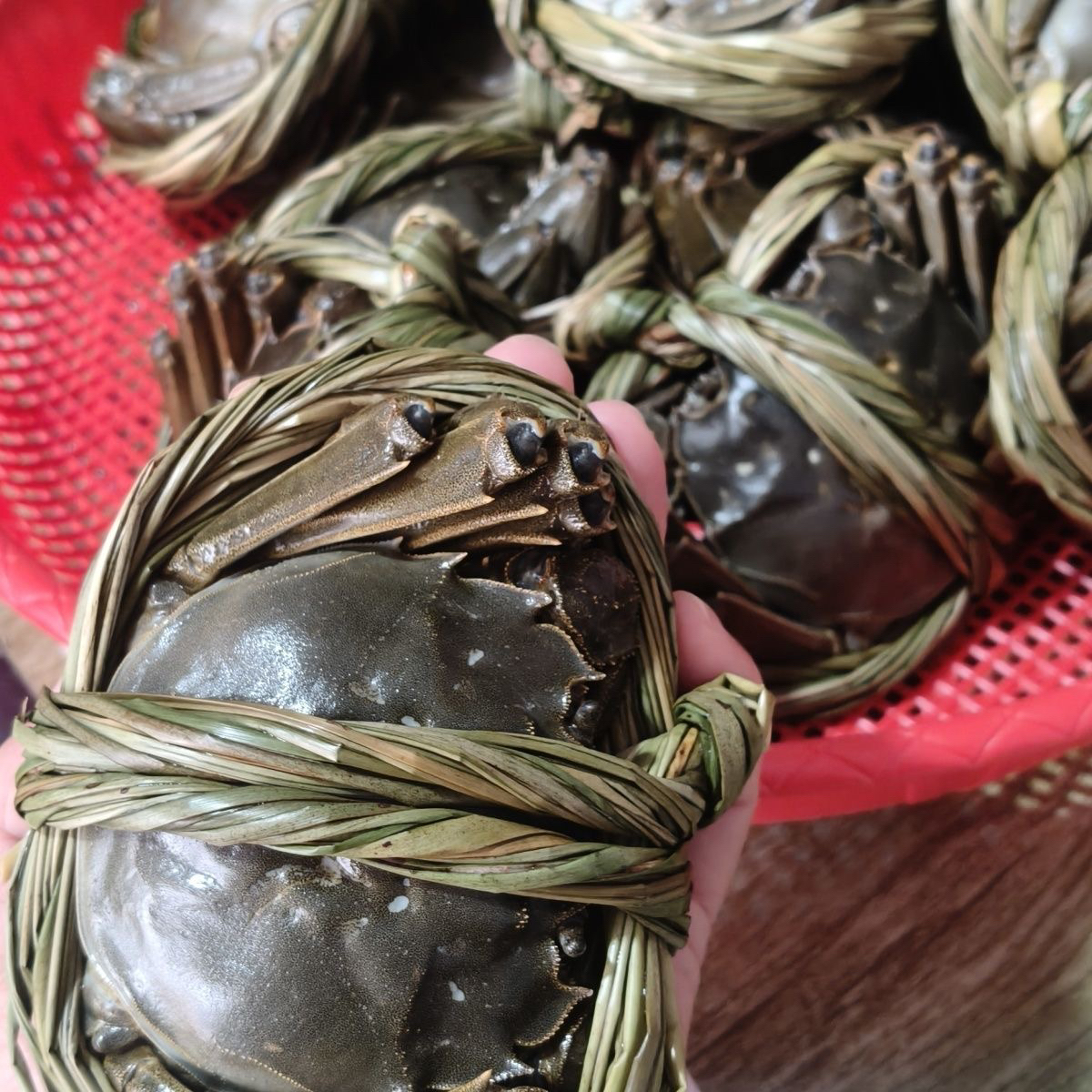 【活蟹】江苏大闸蟹3.5两/母蟹9只（礼盒包装）