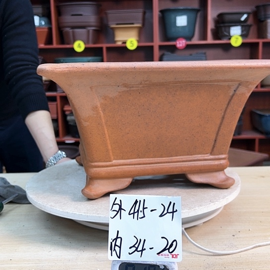 红陶南*景紫砂花盆里放的东西