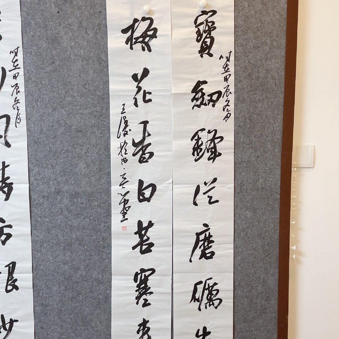 书法中书协会员王涛138×25×2