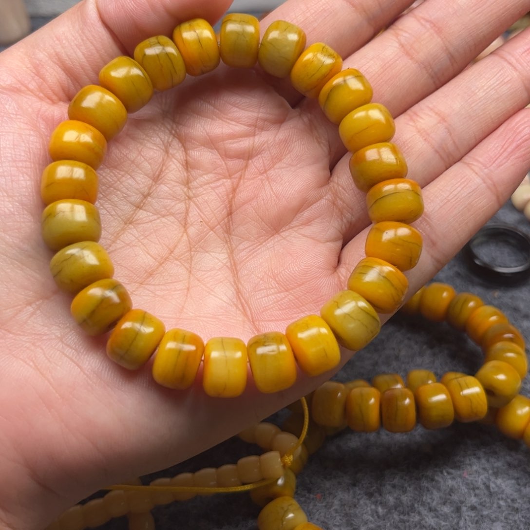 鹿骨其他人工养殖驼骨32