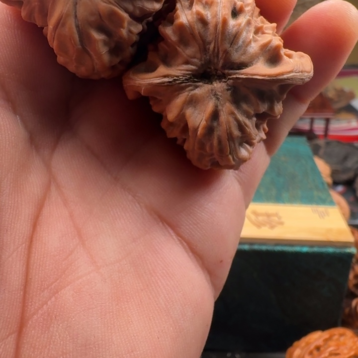 文玩核桃吊坠白蛇谷狮子