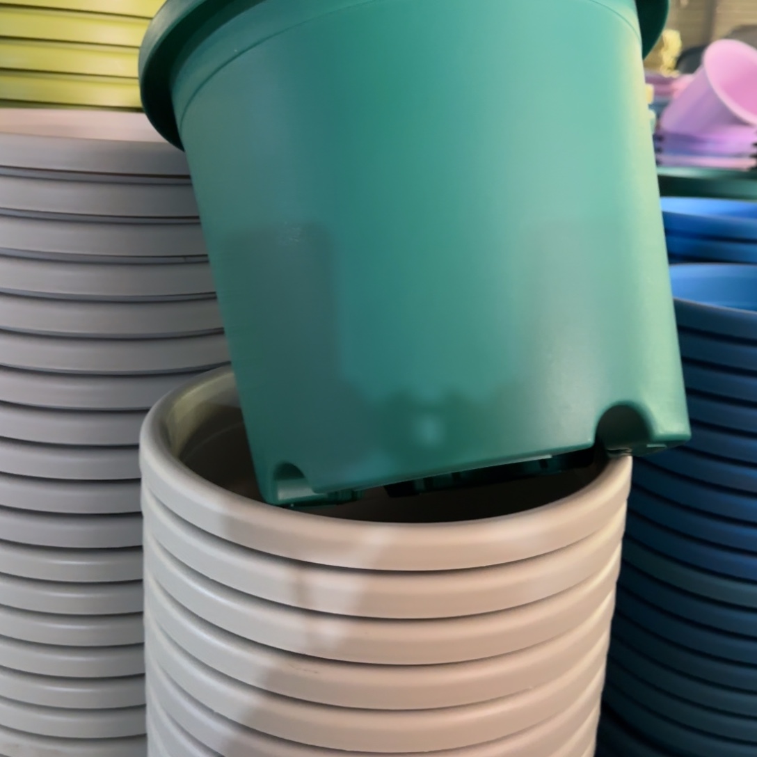 树脂特价5#无拖祖母绿6个