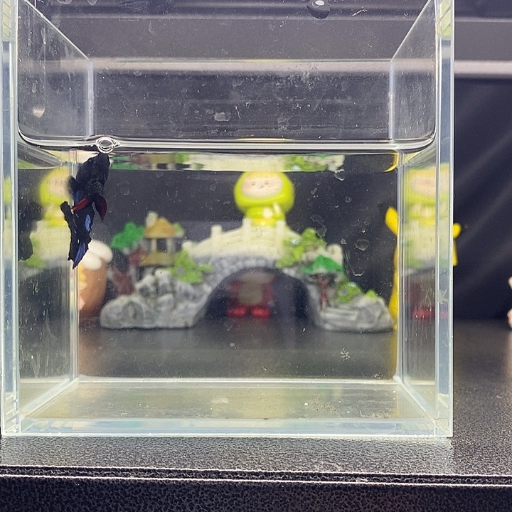 暗黑碎星将军将军