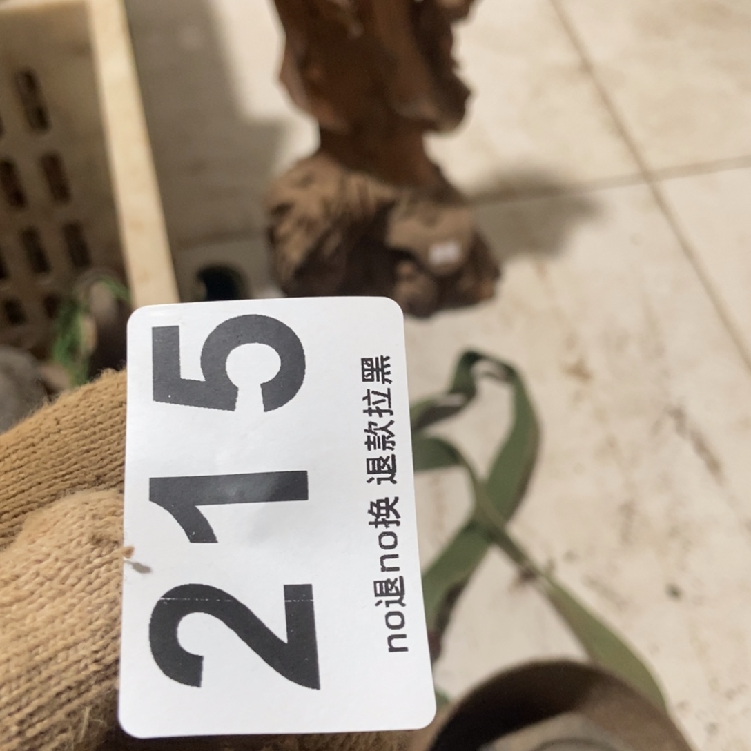 @***？一物一图，工艺品。