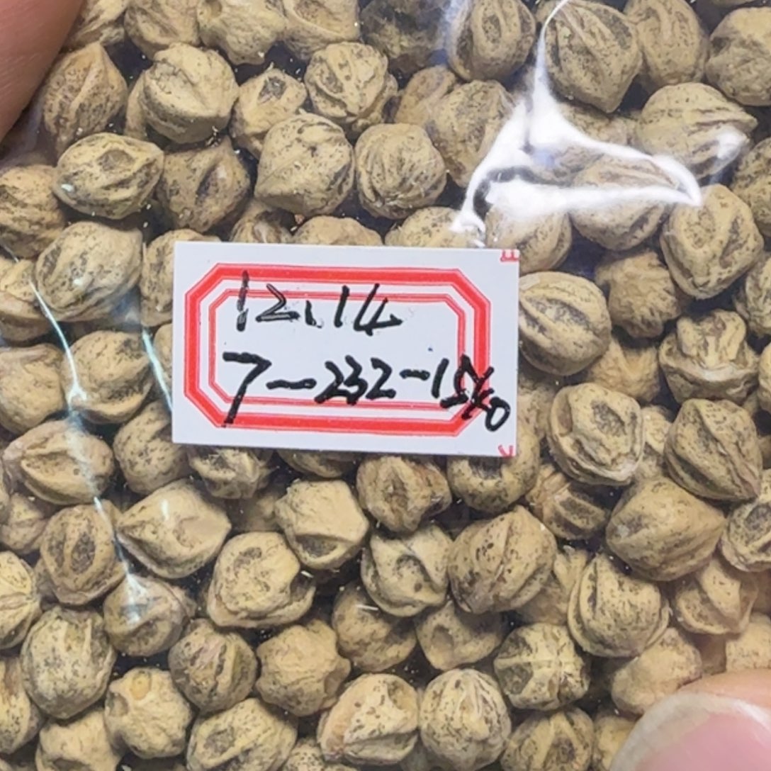 吊坠柏香籽/百香籽