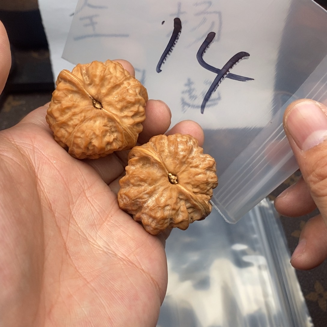 W683794479479947947497