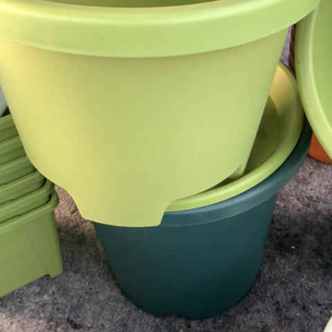 树脂3个大号球根果绿无托