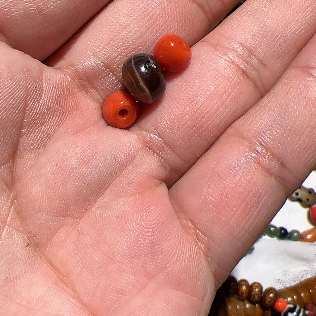 香榧木在家了一个