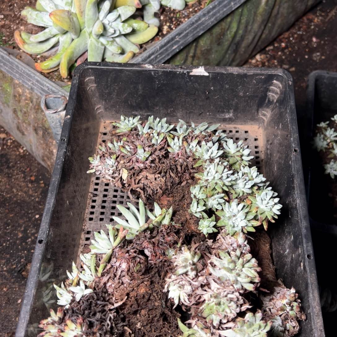 5482哈哈哈哈哈哈哈哈