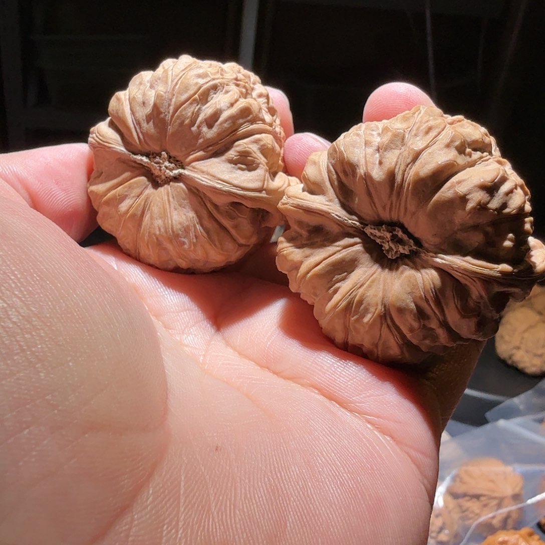 文玩核桃把件用****3南瓜