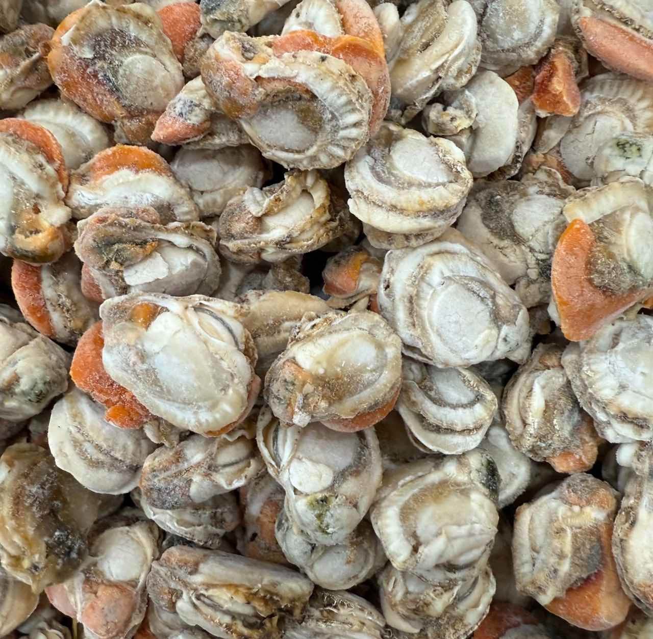 扇贝肉 鲜冻 厦门海鲜配送  顺丰 现称 250g/包