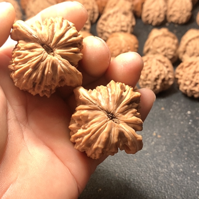 【闪购商品】大****5楼