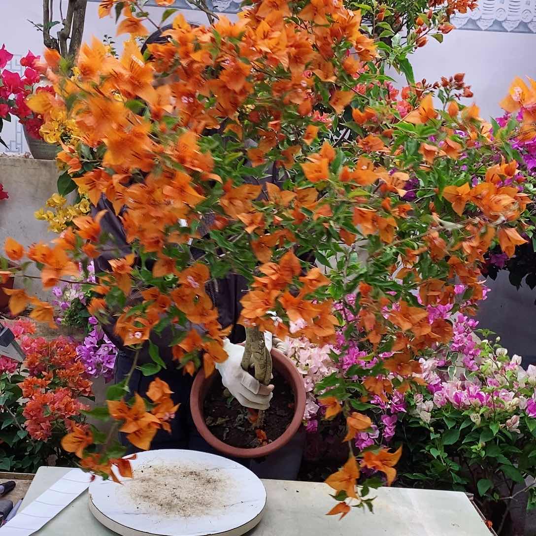 完全开放徐**升我要好好学习