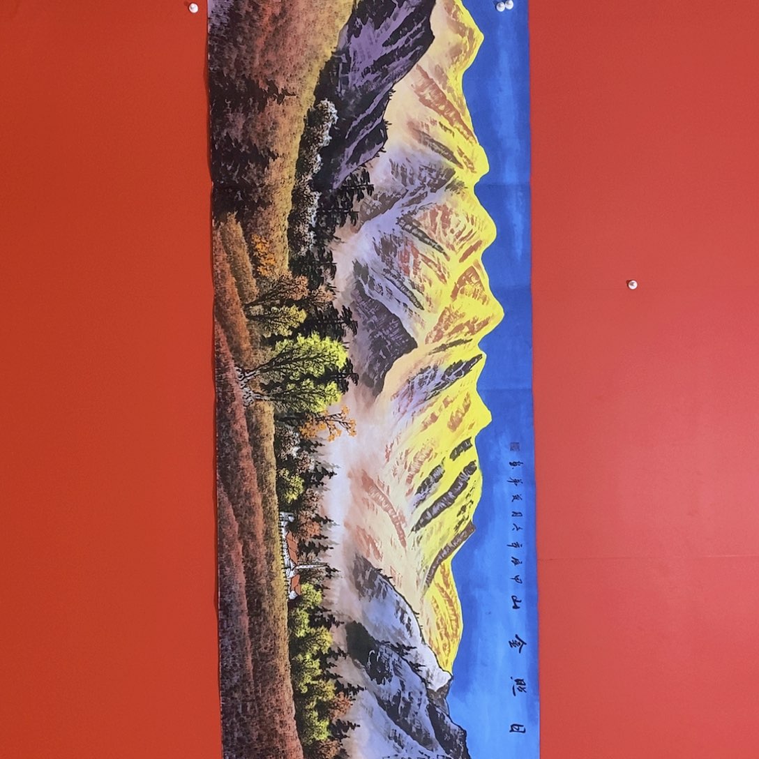 国画国画花鸟国画作品