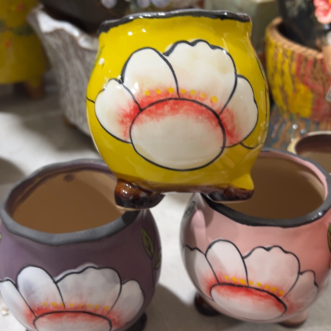 满20米秒退拉黑花盆