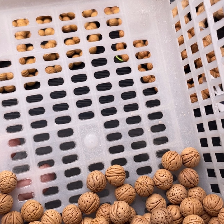 核桃手串/手链散发40元优惠活动