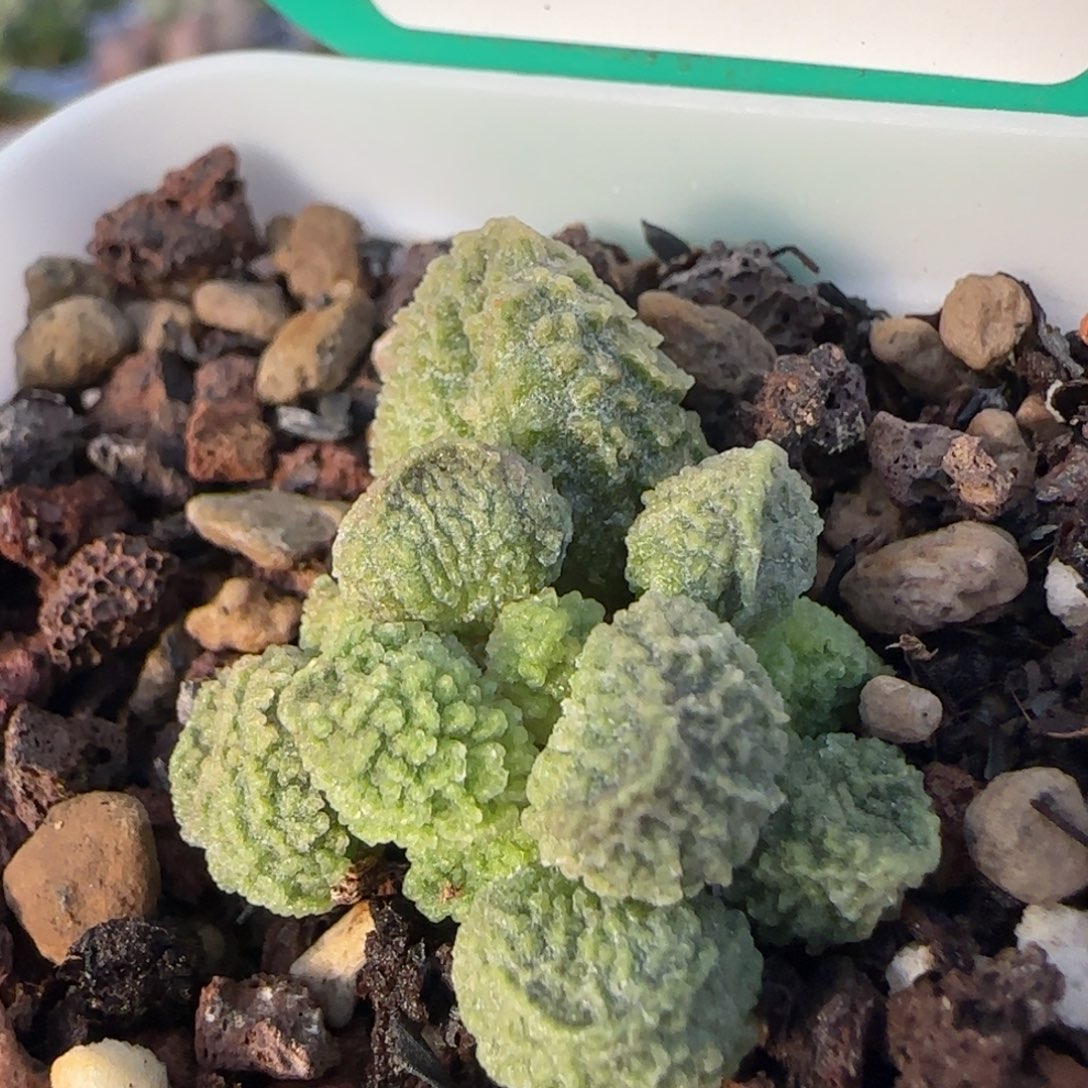 福利多多指教。  629。   