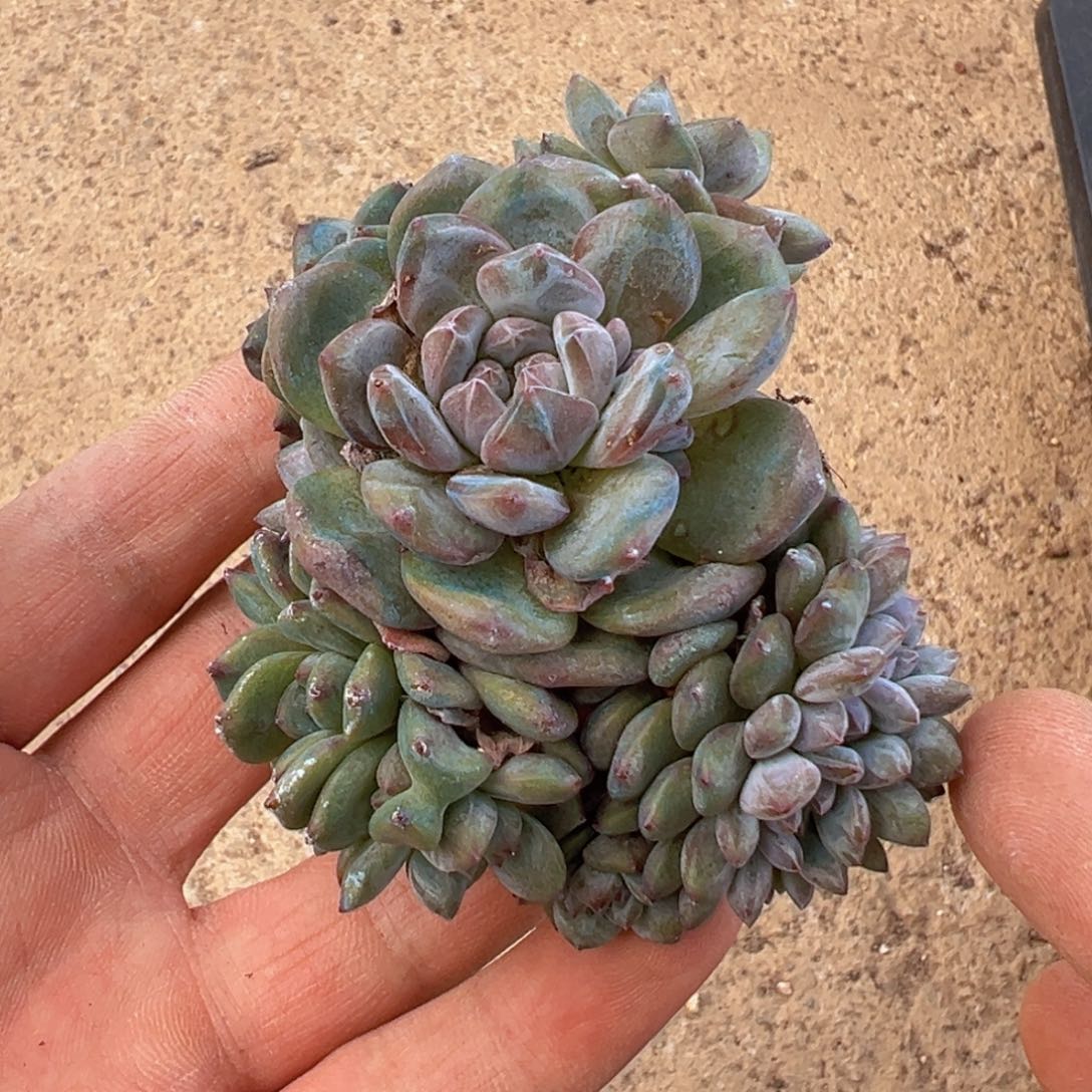 新年快乐 新年快乐