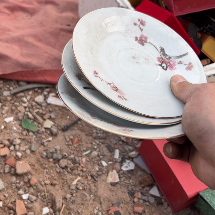 晚***停杂色豆（科檀/科特迪瓦檀木）