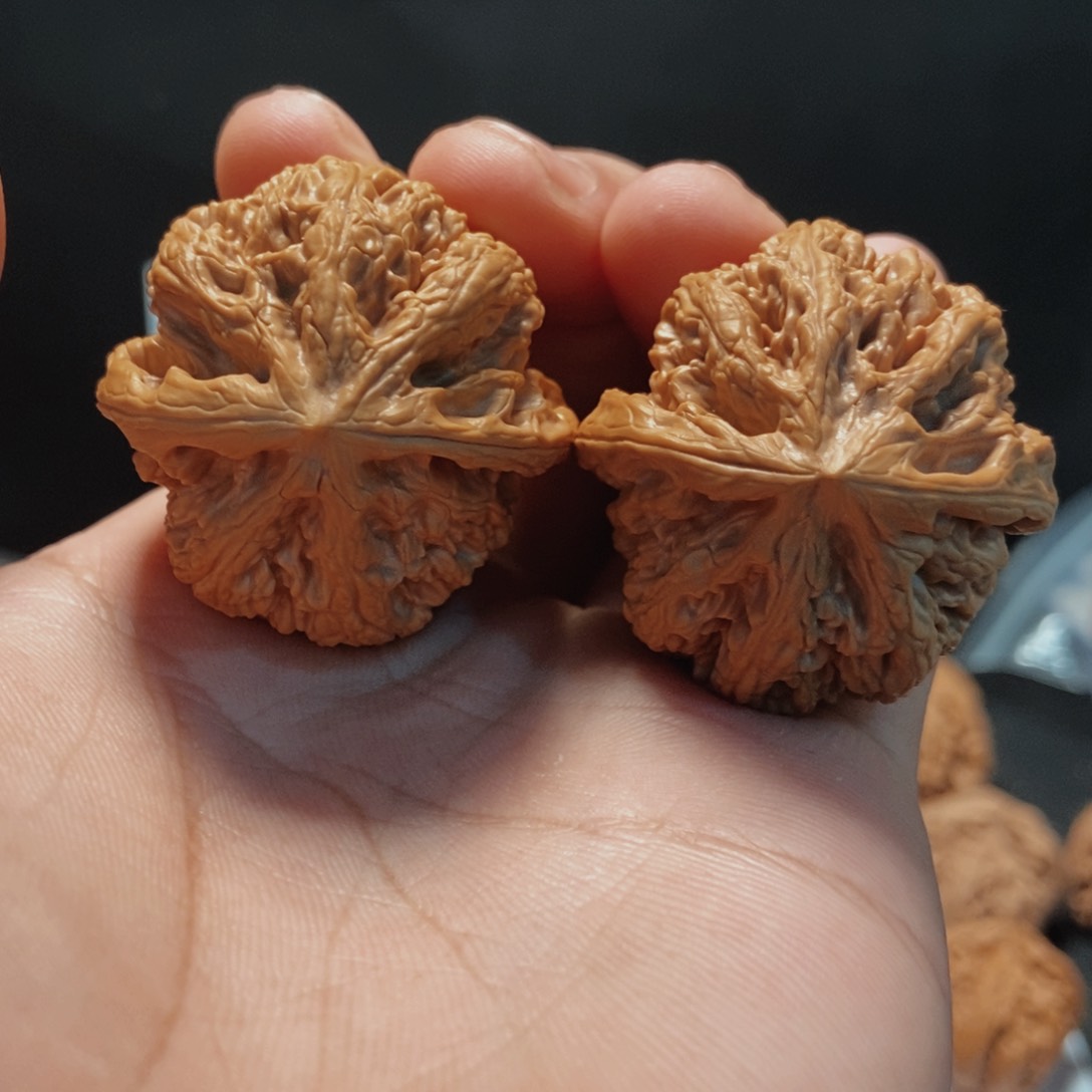 文玩核桃吊坠38大粗筋
