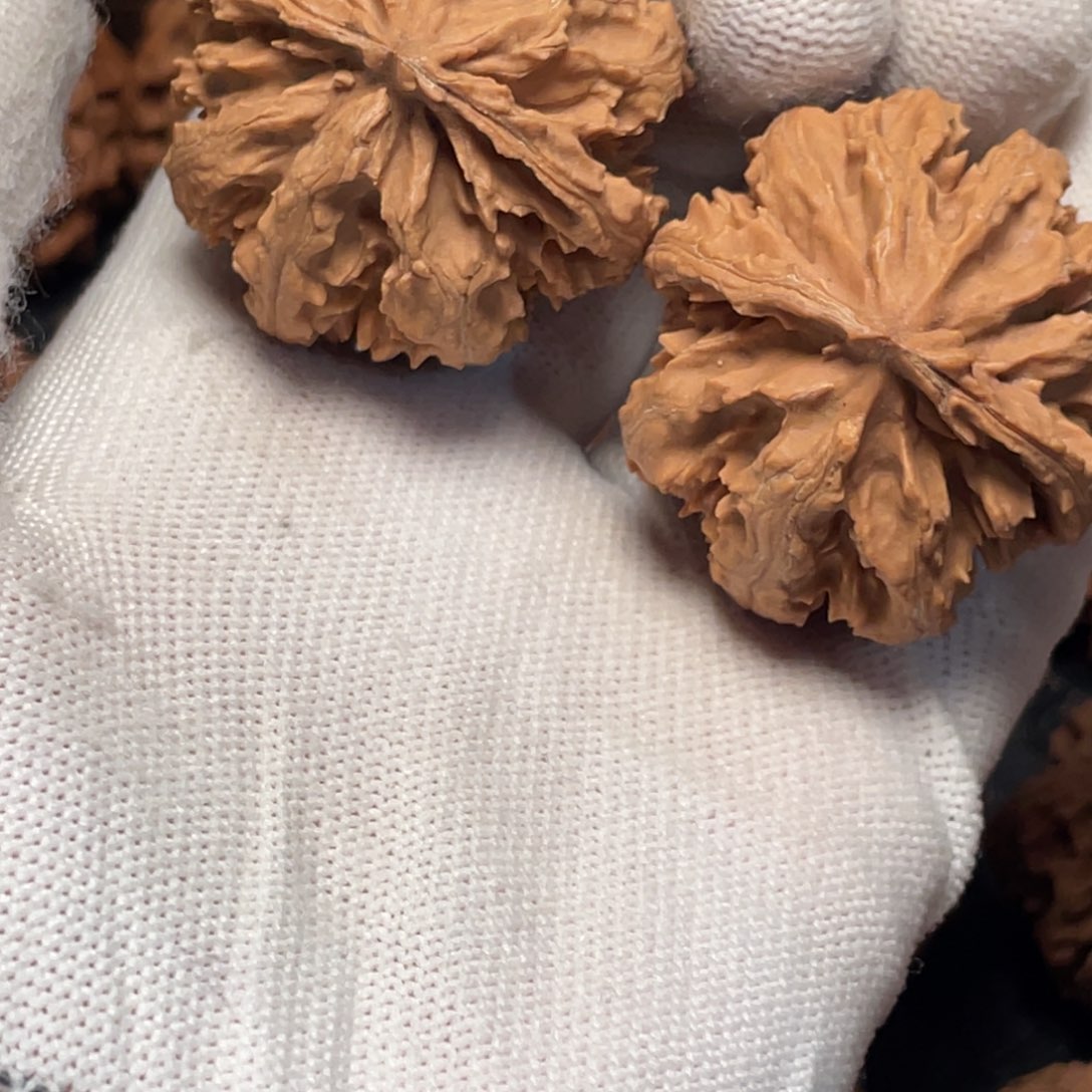 米***奶吊坠桃核7 秦岭灯笼野生小众