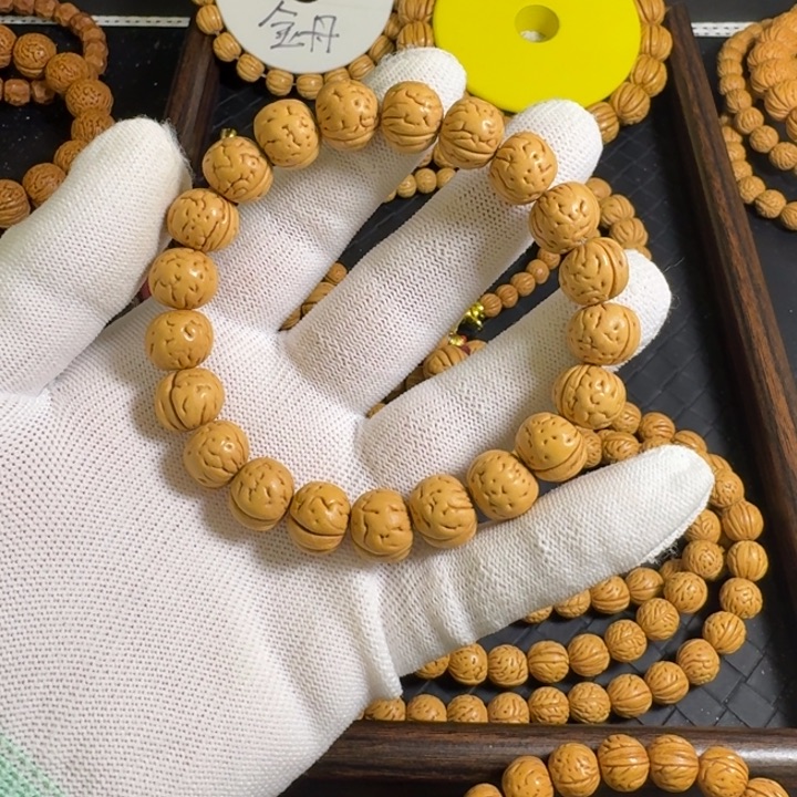 天***ㅤ2号13尺寸野生龙牙