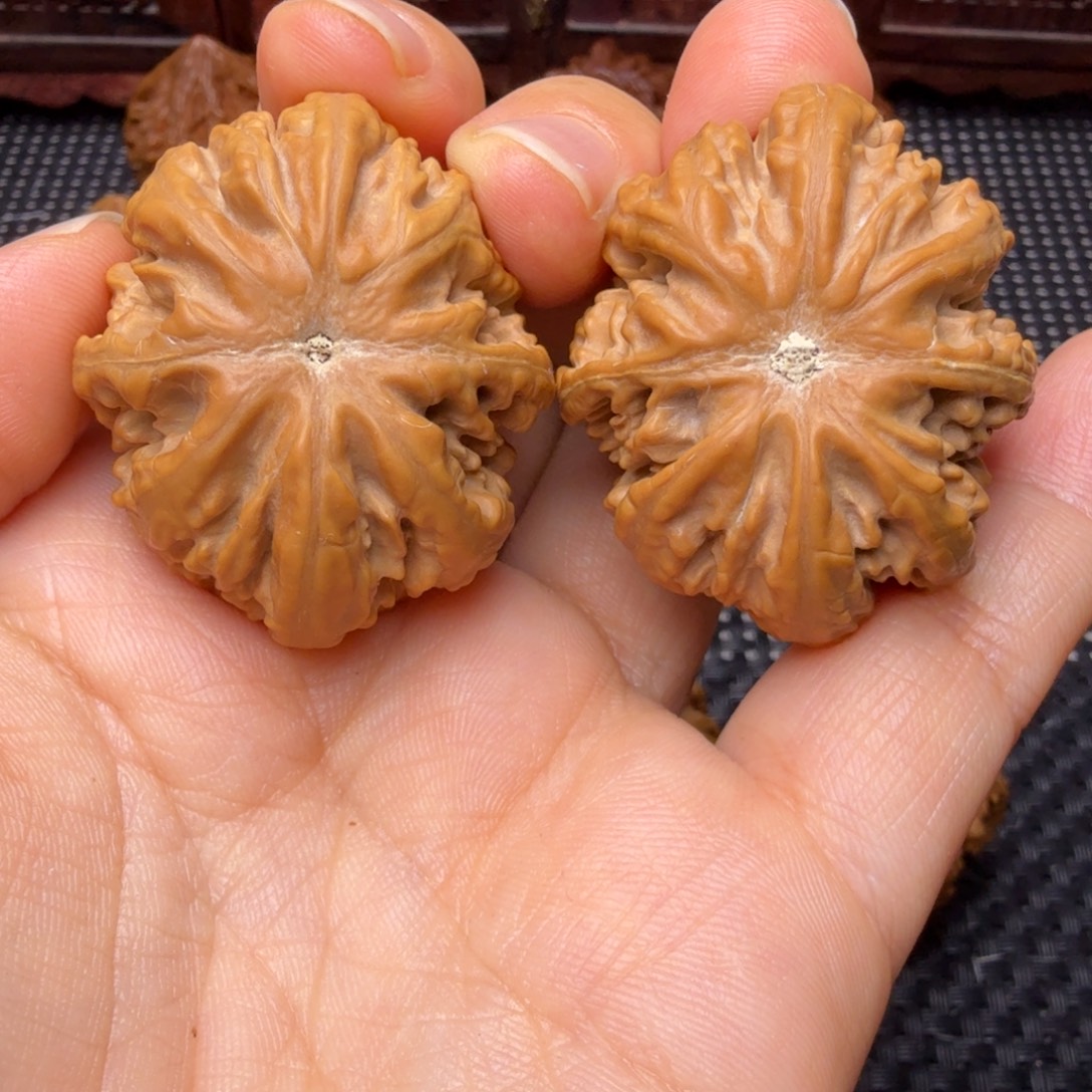 文玩核桃把件金尊元宝02