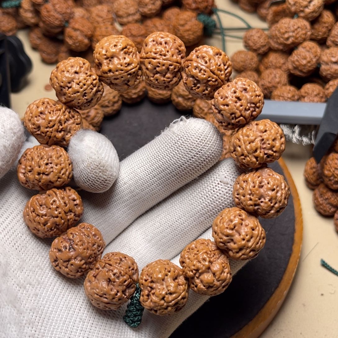 金刚菩提手串古龙高山铁籽梅花双龙22左右福利款无赠品