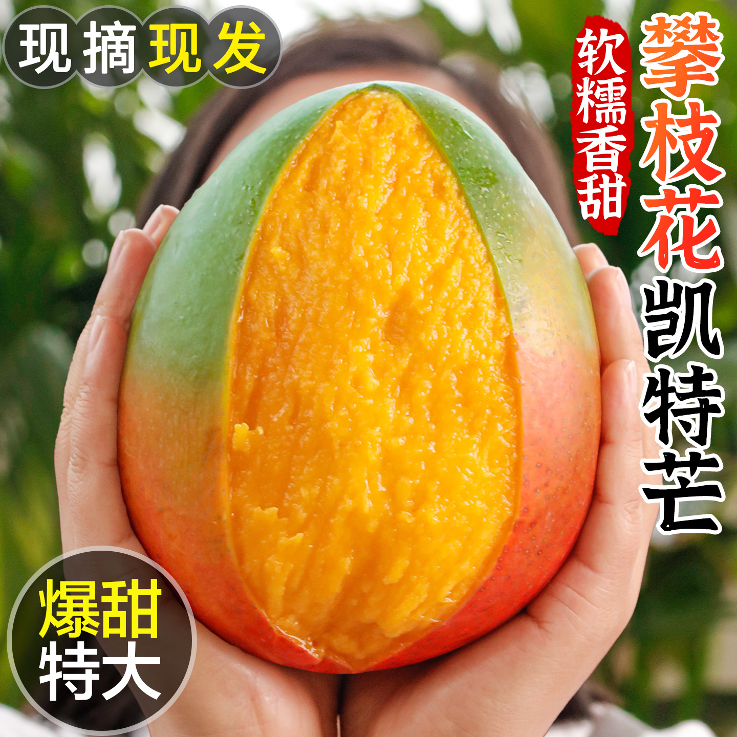 【精品果推荐】四川攀枝花头茬凯特芒新鲜香甜多汁青皮大脸芒果
