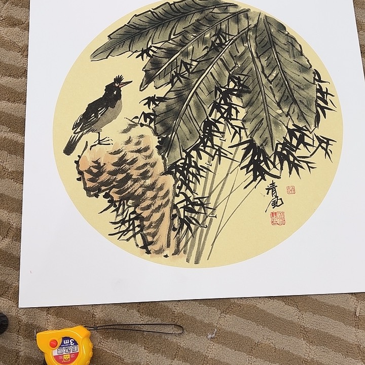 国画花鸟的翅膀和翅膀都是白色的羽毛