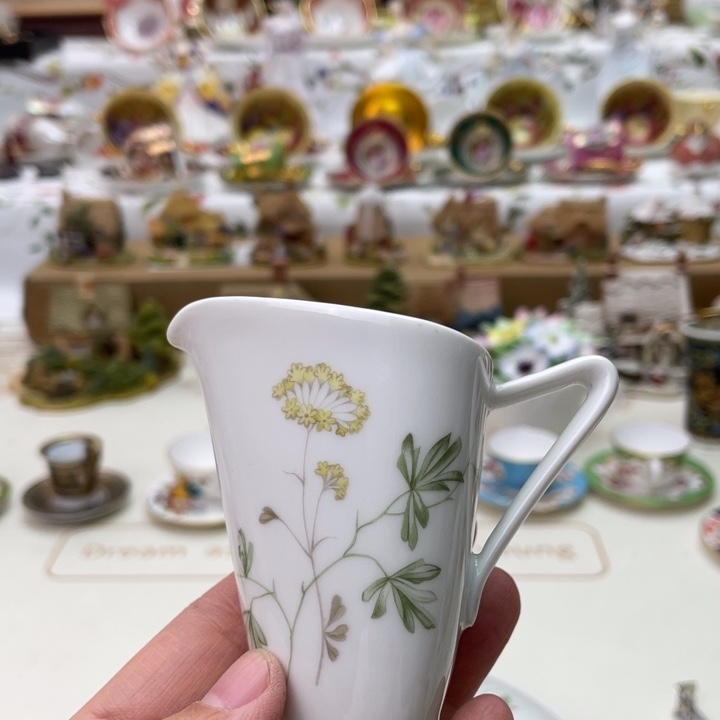 盘维多利亚欧洲中古