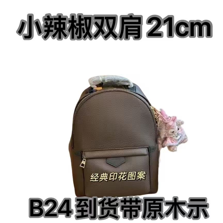 B26 小辣椒双肩 21cm【 轻奢高仿国货】【有礼盒】【无需DIY】斜挎包