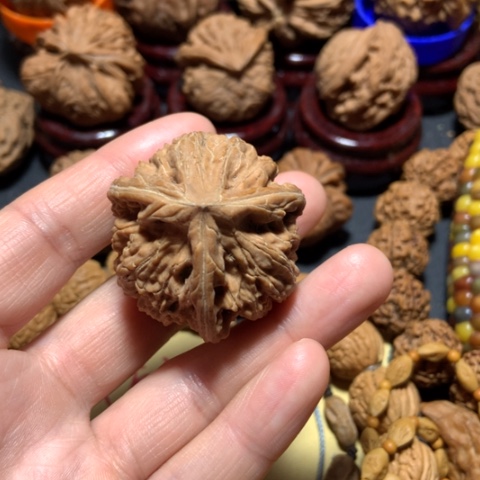 核桃十*洲文山三棱一个