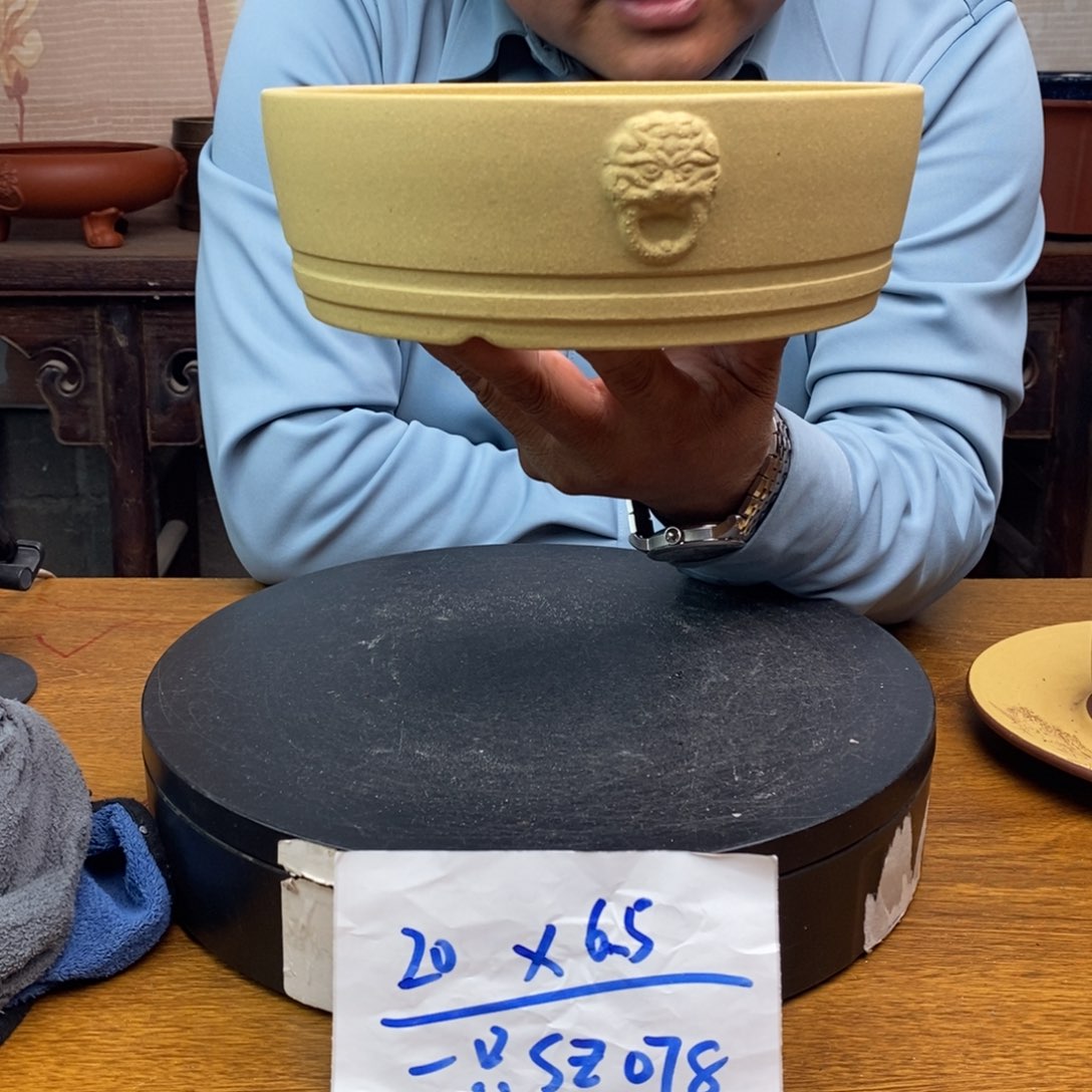 红陶货号一只SZ078