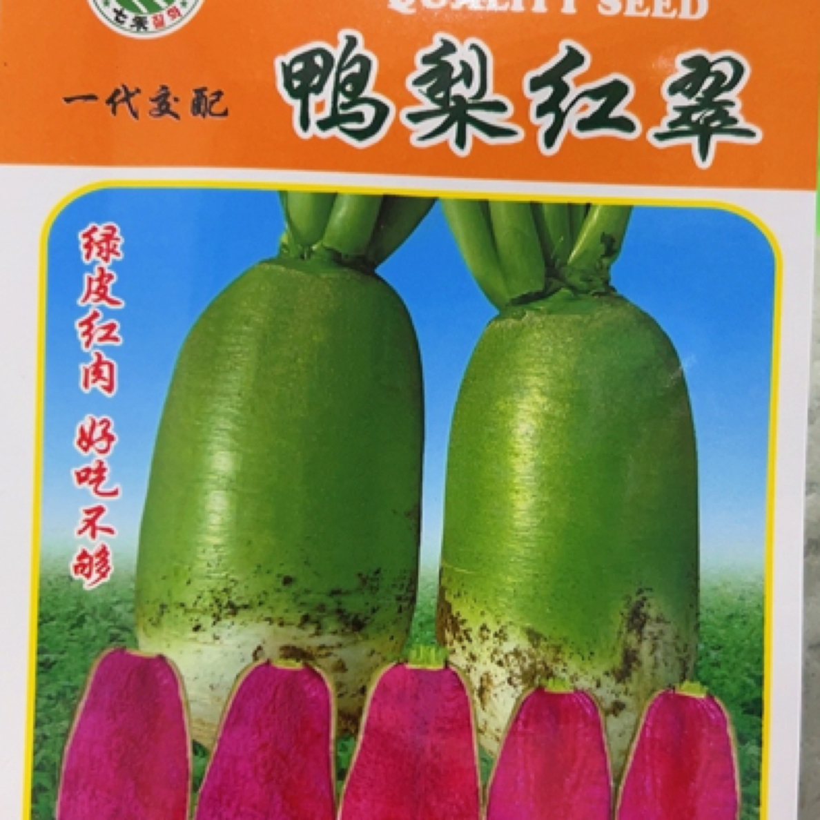 发2袋 鸭梨红脆萝卜种子