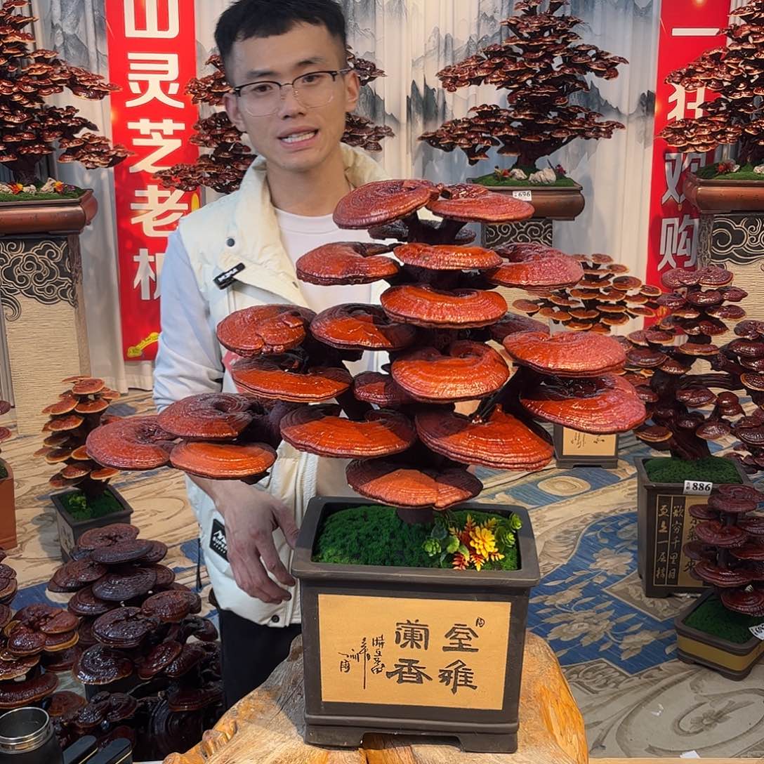 无花朵8888888888880