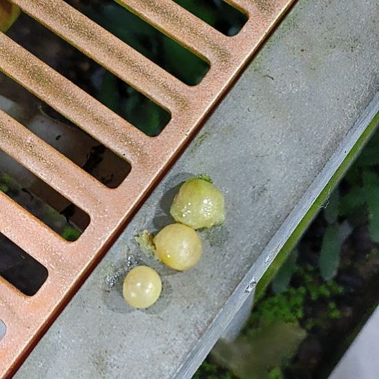 完全开放HK噢噢噢哦哦