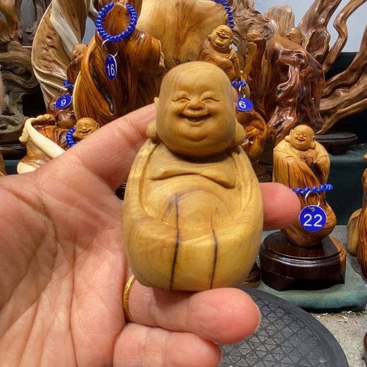 柏木（崖柏）悬崖边缘的太行崖柏