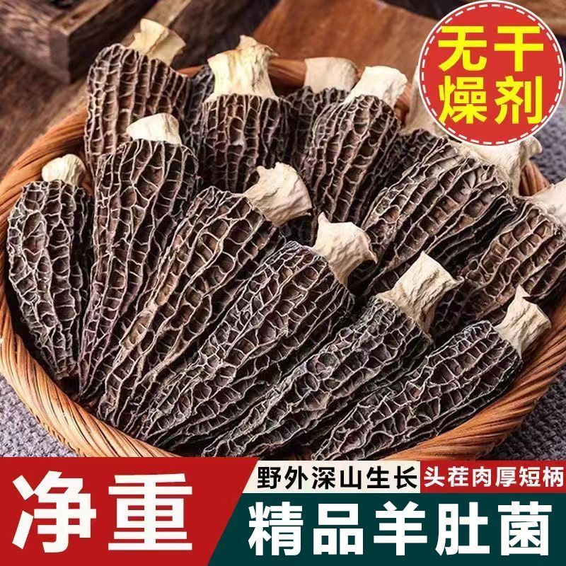 云南产地直发高原林地种植精选头茬羊肚菌干货营养