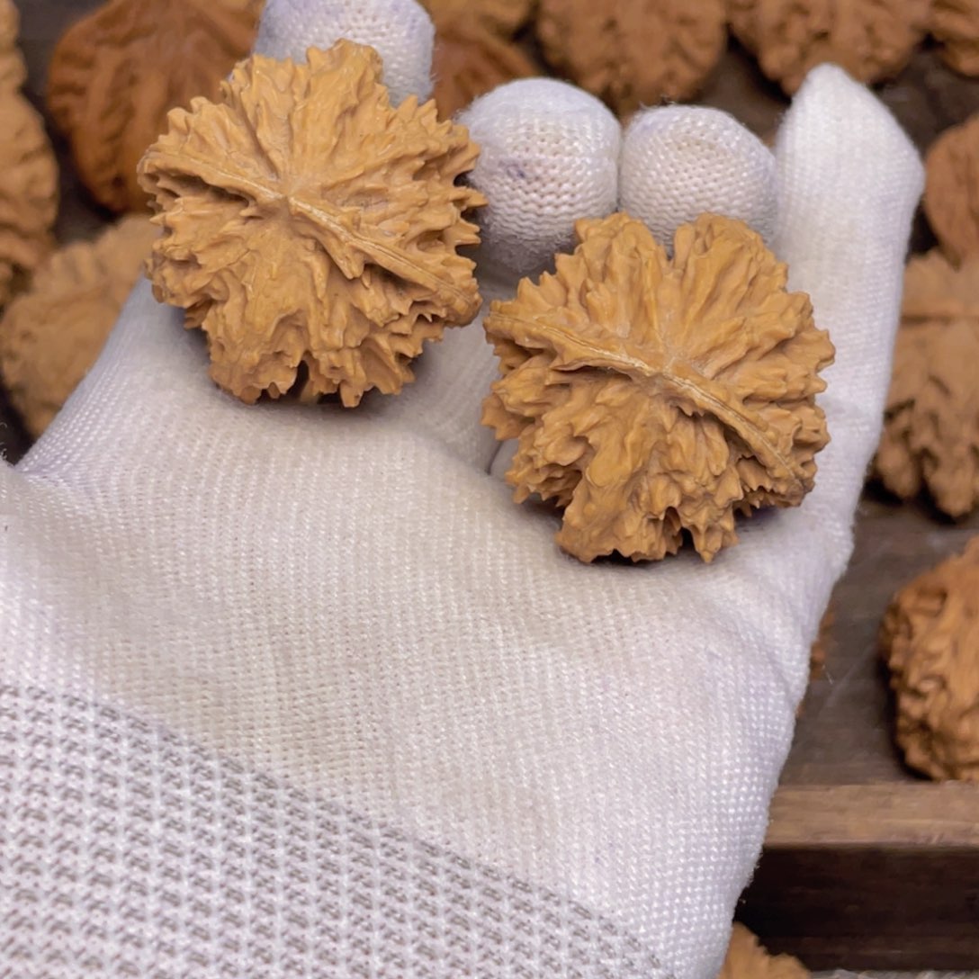 文玩核桃吊坠83 秦岭灯笼野生小众